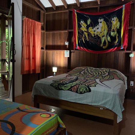 Cabinas Coco Lindo オホチャル エクステリア 写真