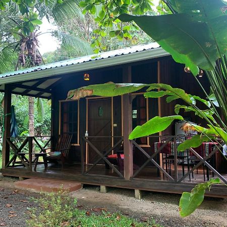 Cabinas Coco Lindo オホチャル エクステリア 写真